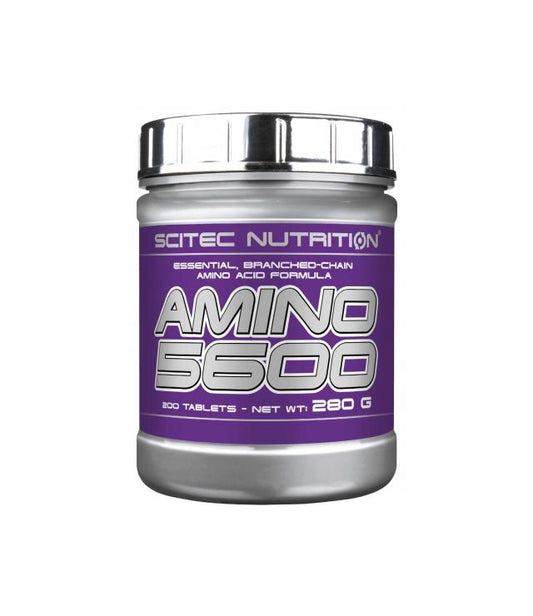 Scitec Nutrition – Amino 5600 | Reines Whey-Aminosäurenprofil für Wachstum & Regeneration